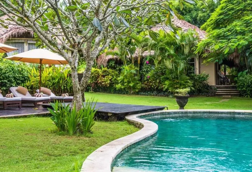 Fotos del hotel Villa Mathis:  2