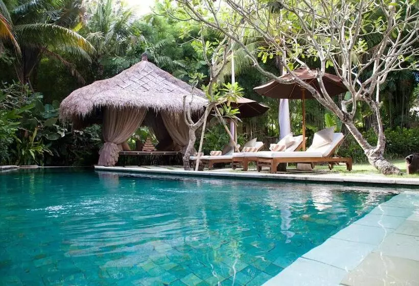 Fotos del hotel Villa Mathis:  10