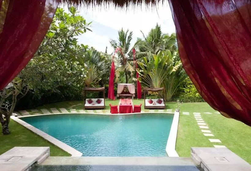 Fotos del hotel Villa Mathis:  15