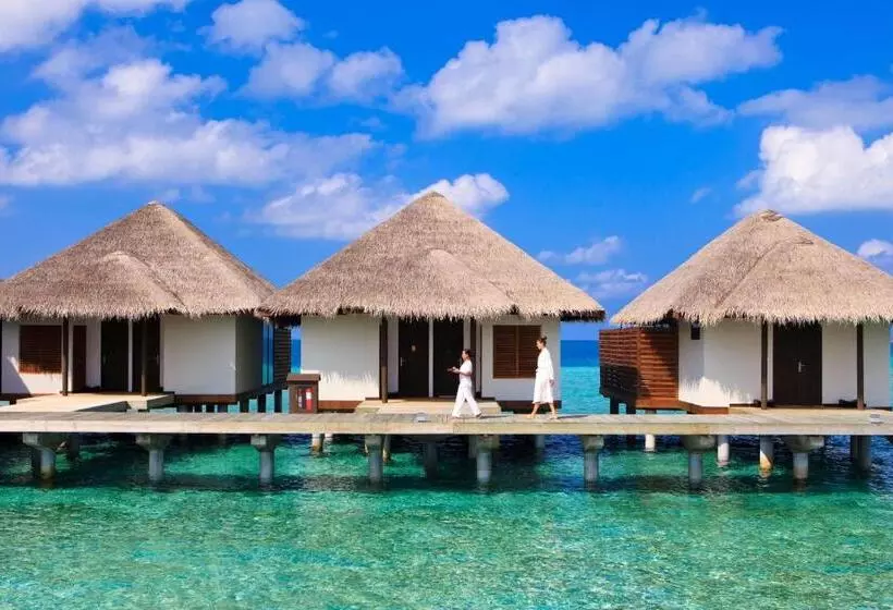 Fotos del hotel Velassaru Maldives:  25