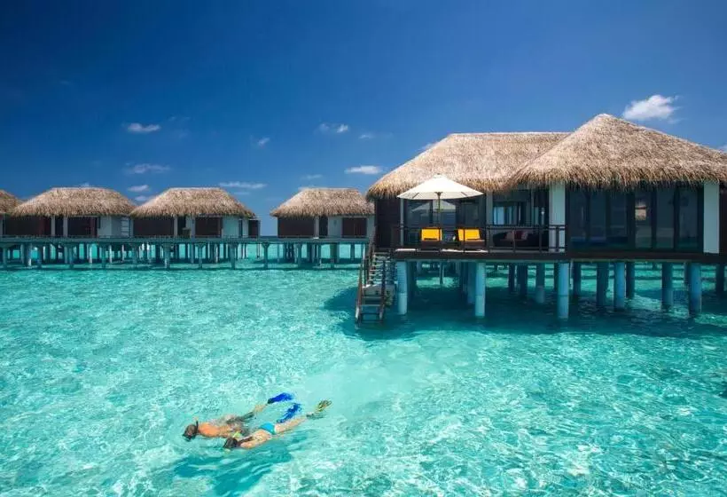 Fotos del hotel Velassaru Maldives:  21