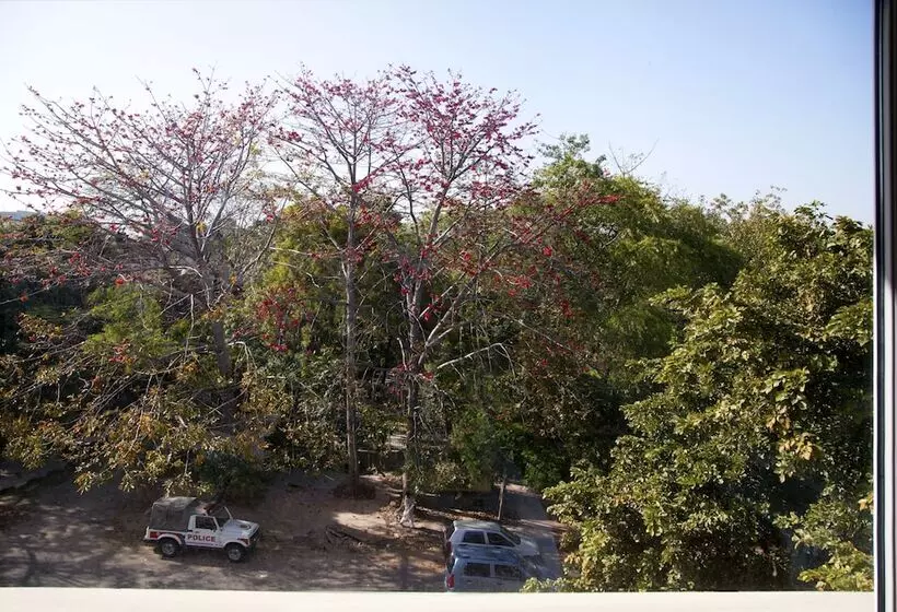 Fotos del hotel Alpina Hotels & Suites:  7