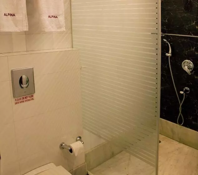 Fotos del hotel Alpina Hotels & Suites:  13