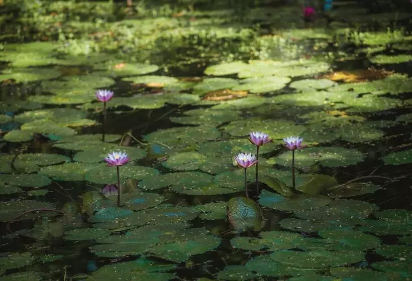 Fotos del hotel Heritance Ayurveda:  6