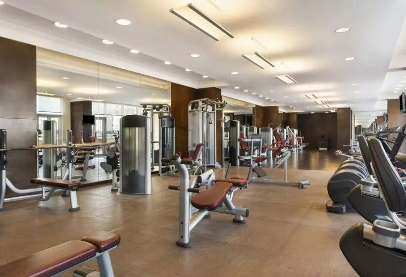 Fotos del hotel Hyatt Regency Oryx Doha:  11