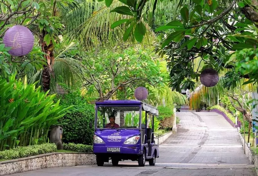 Fotos del hotel Lavender Villa And Spa:  13