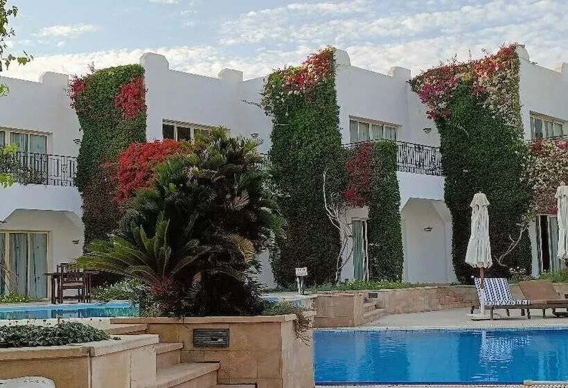 Fotos del hotel Eden Rock Hotel Namaa Bay:  25