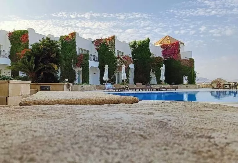 Fotos del hotel Eden Rock Hotel Namaa Bay:  14