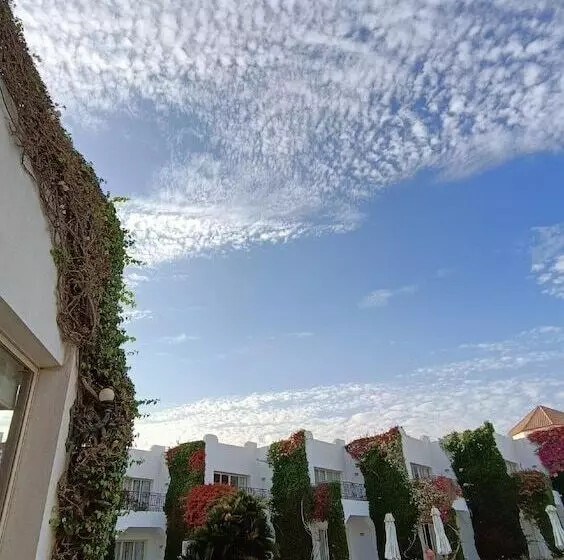 Fotos del hotel Eden Rock Hotel Namaa Bay:  22