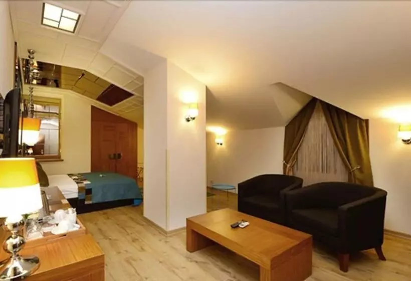 Fotos del hotel Collage Pera:  7