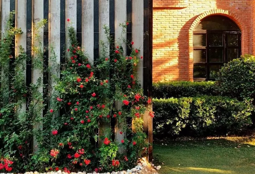 Fotos del hotel Gracie Art:  8