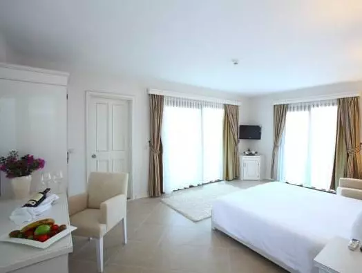 Fotos del hotel Temenos Luxury  & Spa  Boutique Class:  11