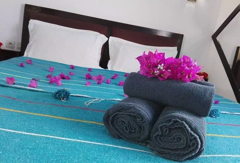 Fotos del hotel Dar El Paco:  25