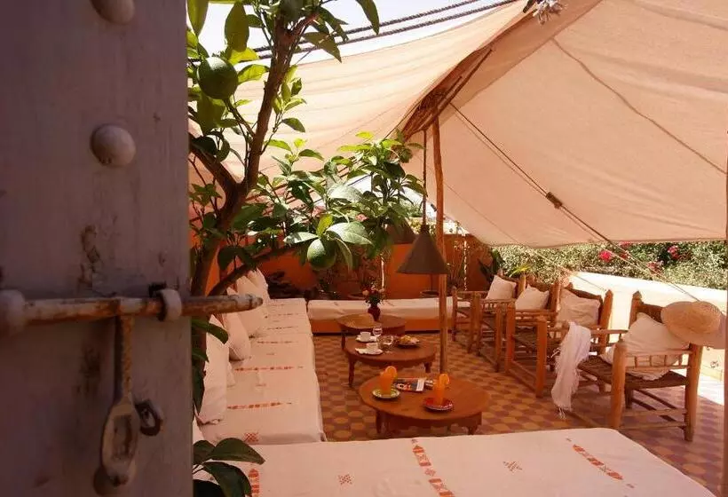 Fotos del hotel Dar Touyir:  12