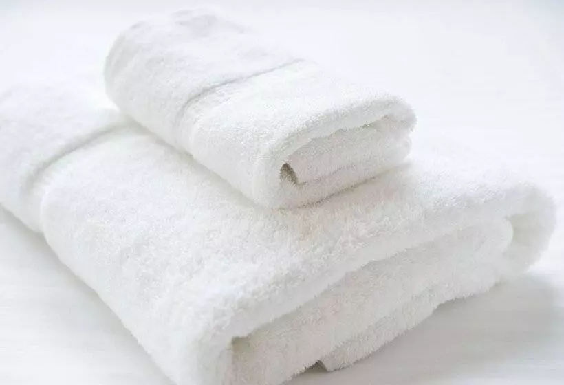 Fotos del hotel Villa Fontaine Tokyojimbocho:  2