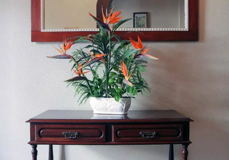 Fotos del hotel Gordon:  6