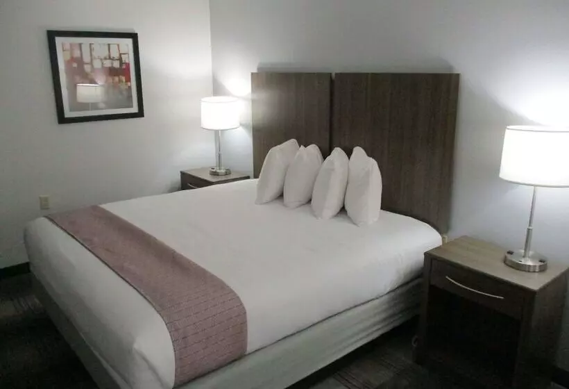 Fotos del hotel Best Western Plus Philadelphiachoctaw  And Suites:  9