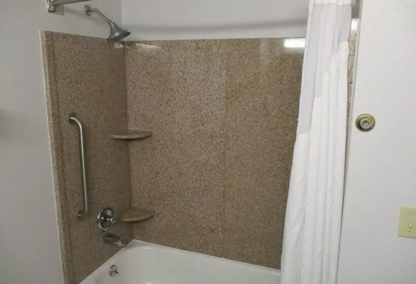 Fotos del hotel Best Western Plus Philadelphiachoctaw  And Suites:  7