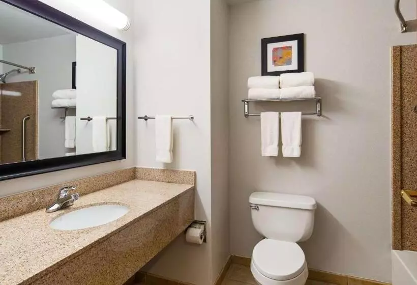 Fotos del hotel Best Western Plus Philadelphiachoctaw  And Suites:  12