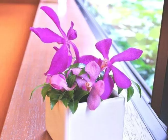 Fotos del hotel Almont Inn Tokyo Nihonbashi:  15