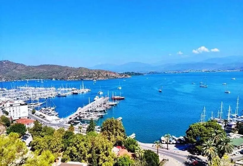 Fotos del hotel Green Forest Holiday Village:  7