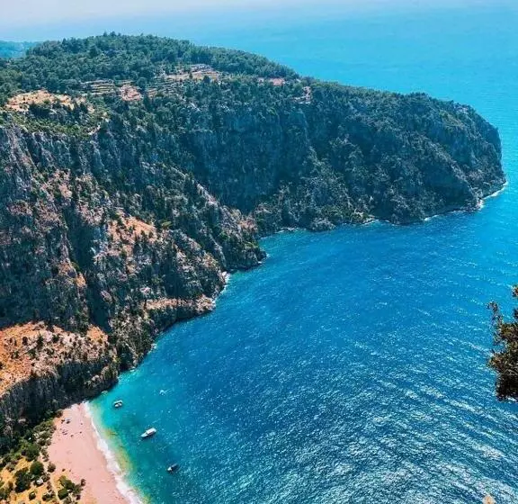 Fotos del hotel Green Forest Holiday Village:  18