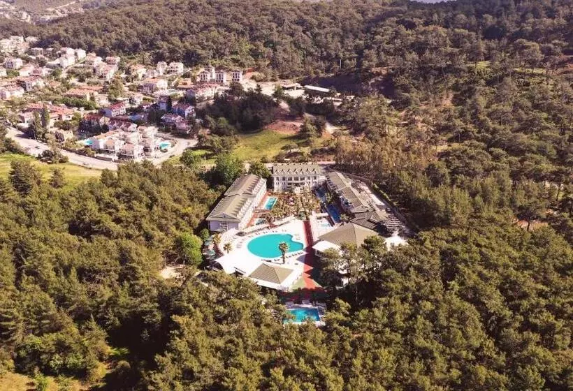 Fotos del hotel Green Forest Holiday Village:  23