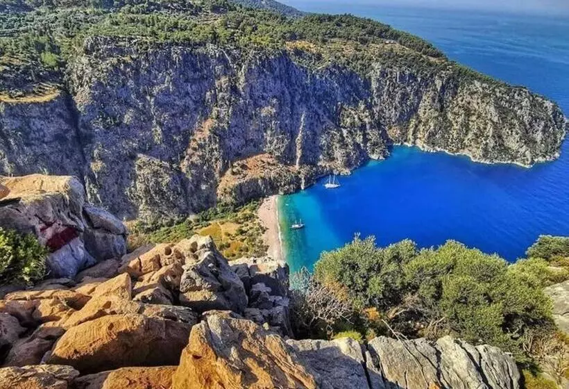 Fotos del hotel Green Forest Holiday Village:  20