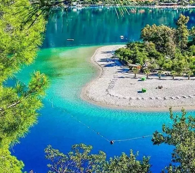 Fotos del hotel Green Forest Holiday Village:  24