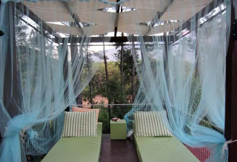 Fotos del hotel Green Forest Holiday Village:  6