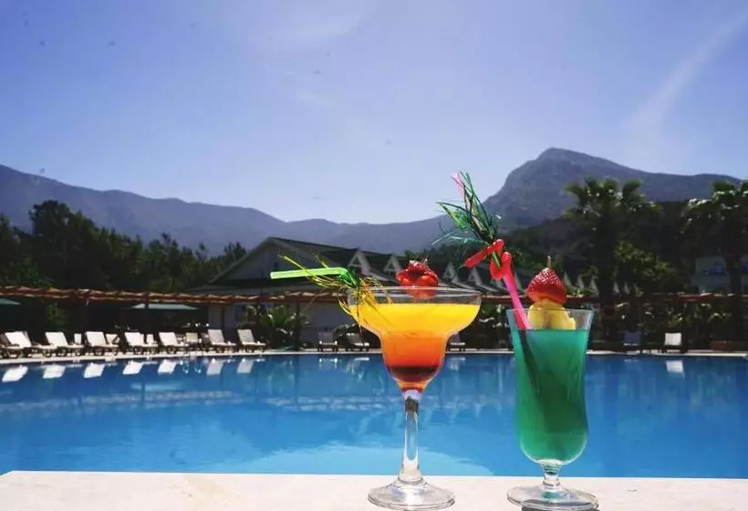 Fotos del hotel Green Forest Holiday Village:  11