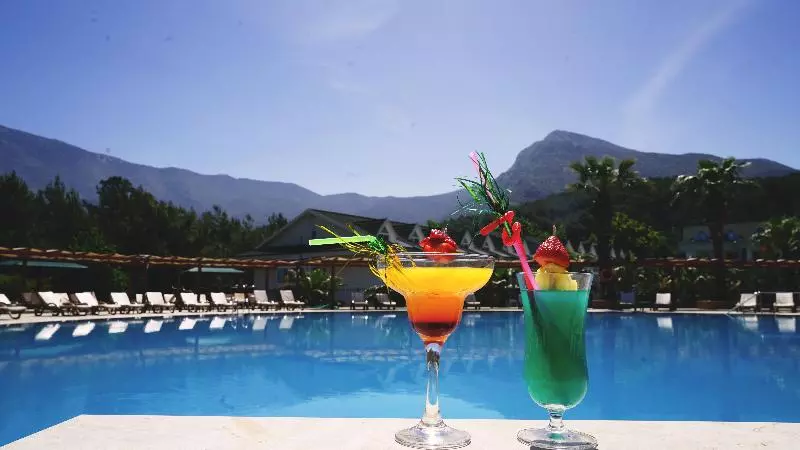 Fotos del hotel Green Forest Holiday Village:  4