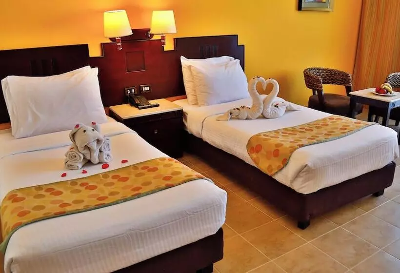 Fotos del hotel Coral Sun Beach:  7