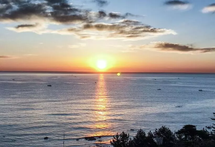 Fotos del hotel Maremons:  15