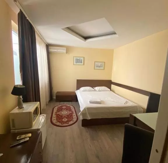 Fotos del hotel Ave Hotel Victoriei:  7