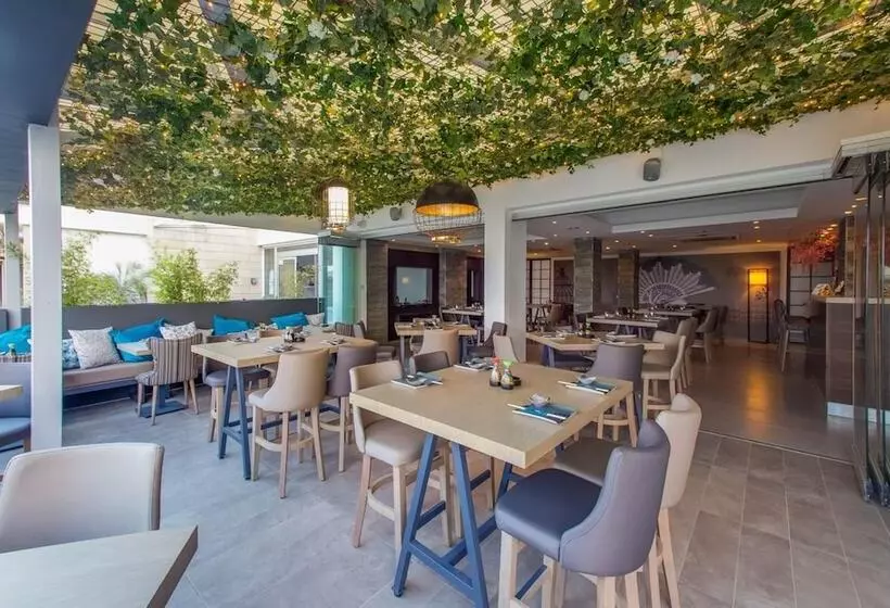 Fotos del hotel Captain Karas Holidays Apartments:  16