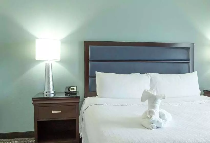 Fotos del hotel Homewood Suites By Hilton Miami - Airport West:  13