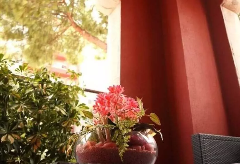 Fotos del hotel Vilassar:  6