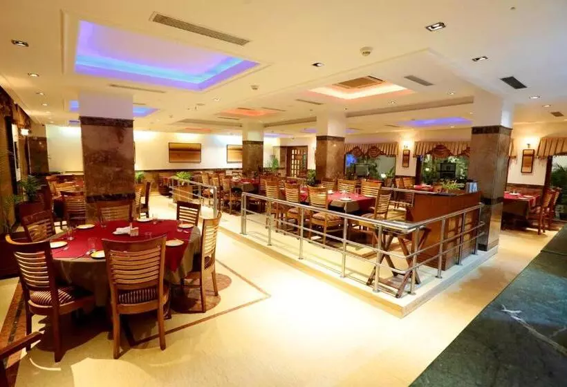 Fotos del hotel Hotel Meraden Grand:  16