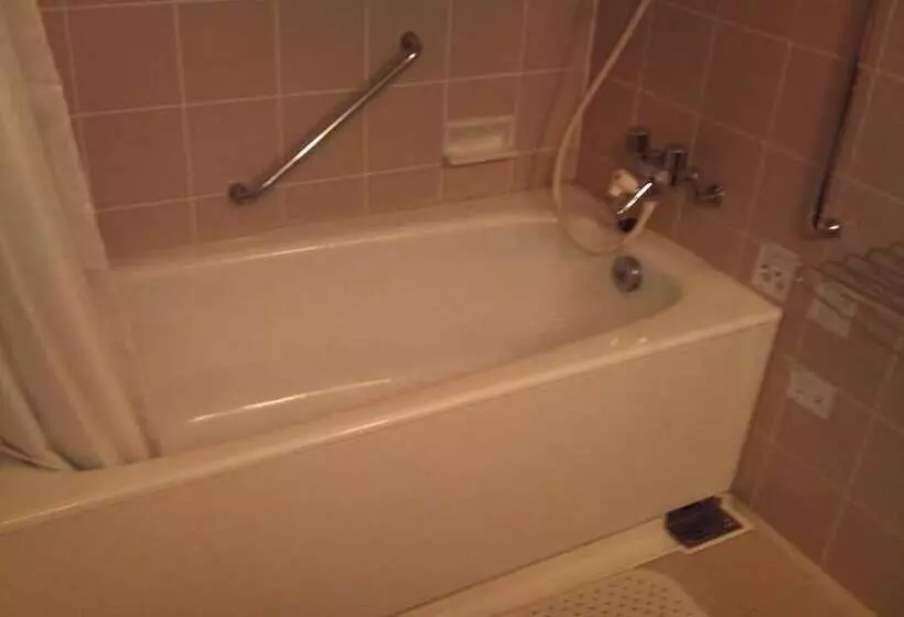 Fotos del hotel Saga Grace:  17