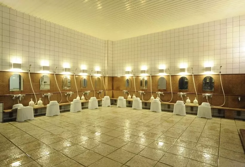 Fotos del hotel Saga Grace:  15