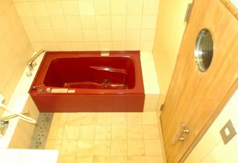 Fotos del hotel Saga Grace:  10