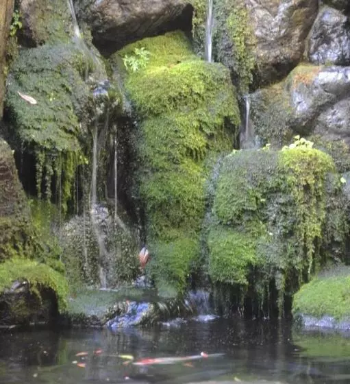 Fotos del hotel Saga Grace:  18