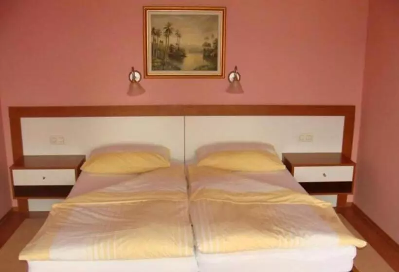 Fotos del hotel Delminium:  8