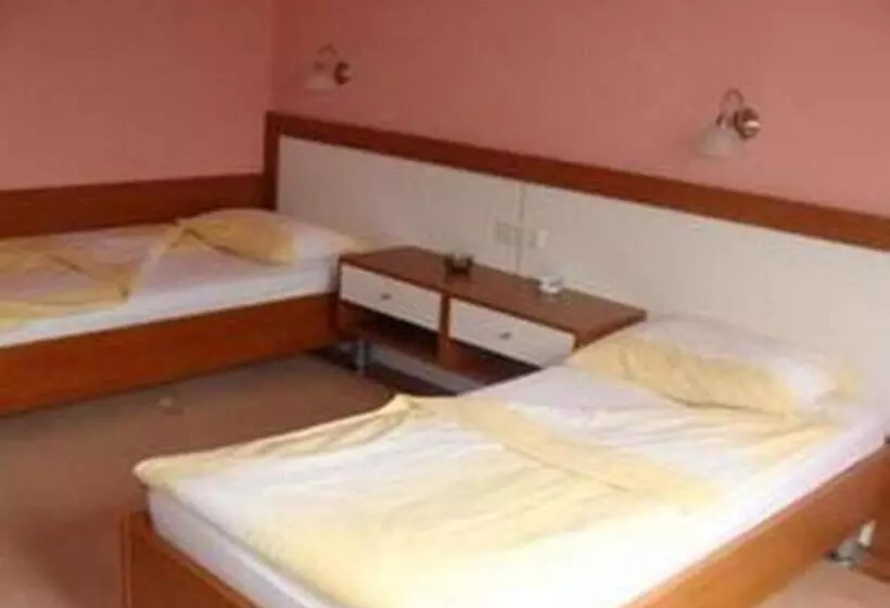 Fotos del hotel Delminium:  11