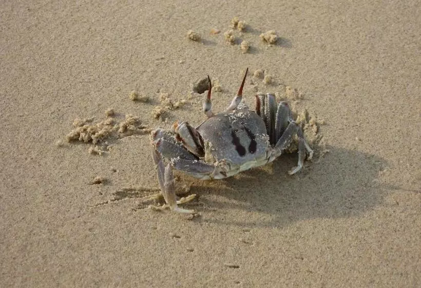 Fotos del hotel Permai Rainforest Resort:  7