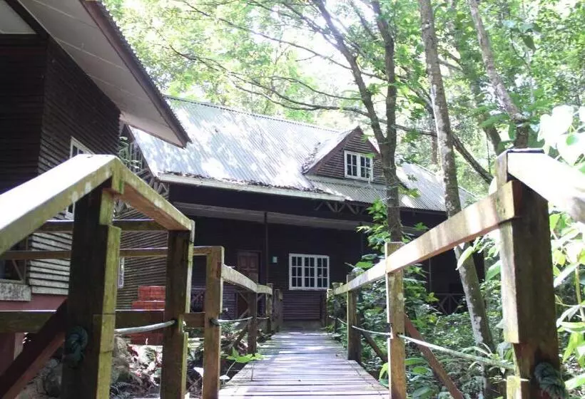 Fotos del hotel Permai Rainforest Resort:  20