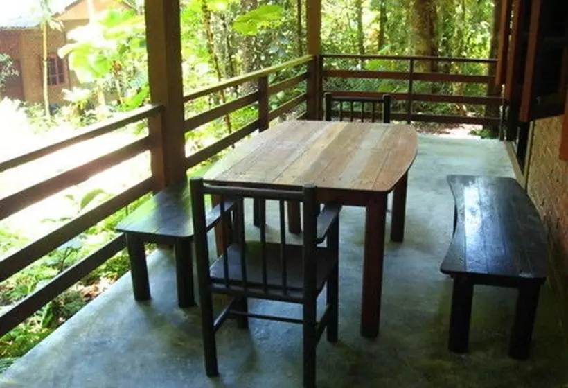 Fotos del hotel Permai Rainforest Resort:  5