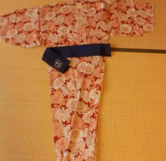 Fotos del hotel Kanazawa Chaya:  24