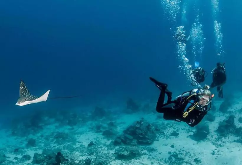 Fotos del hotel The Beehive:  8